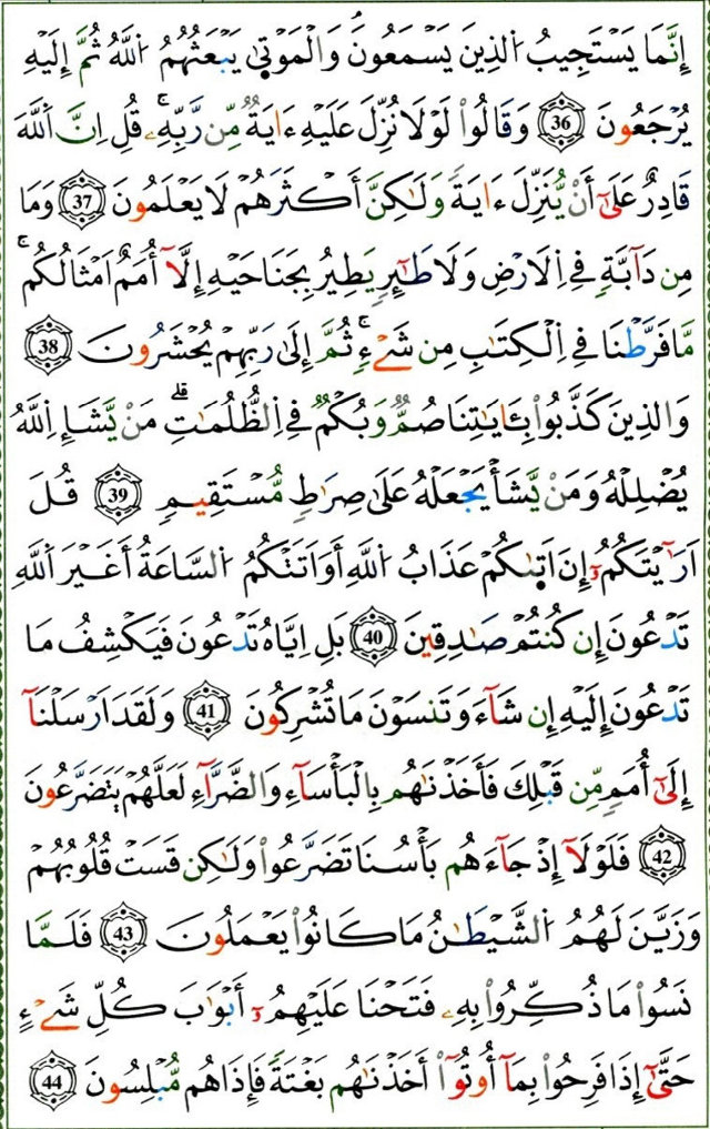 Sura 6, page 5